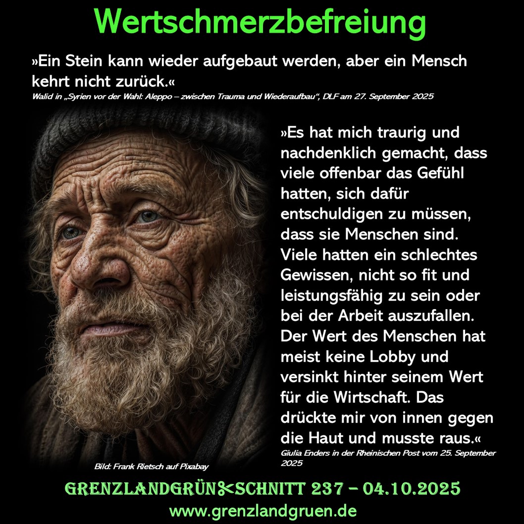 237 Wertschmerzbefreiung.jpg